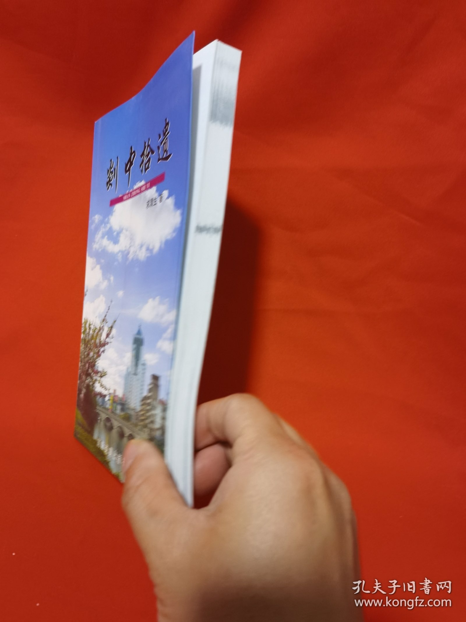 剡中拾遗,越乡文化丛书