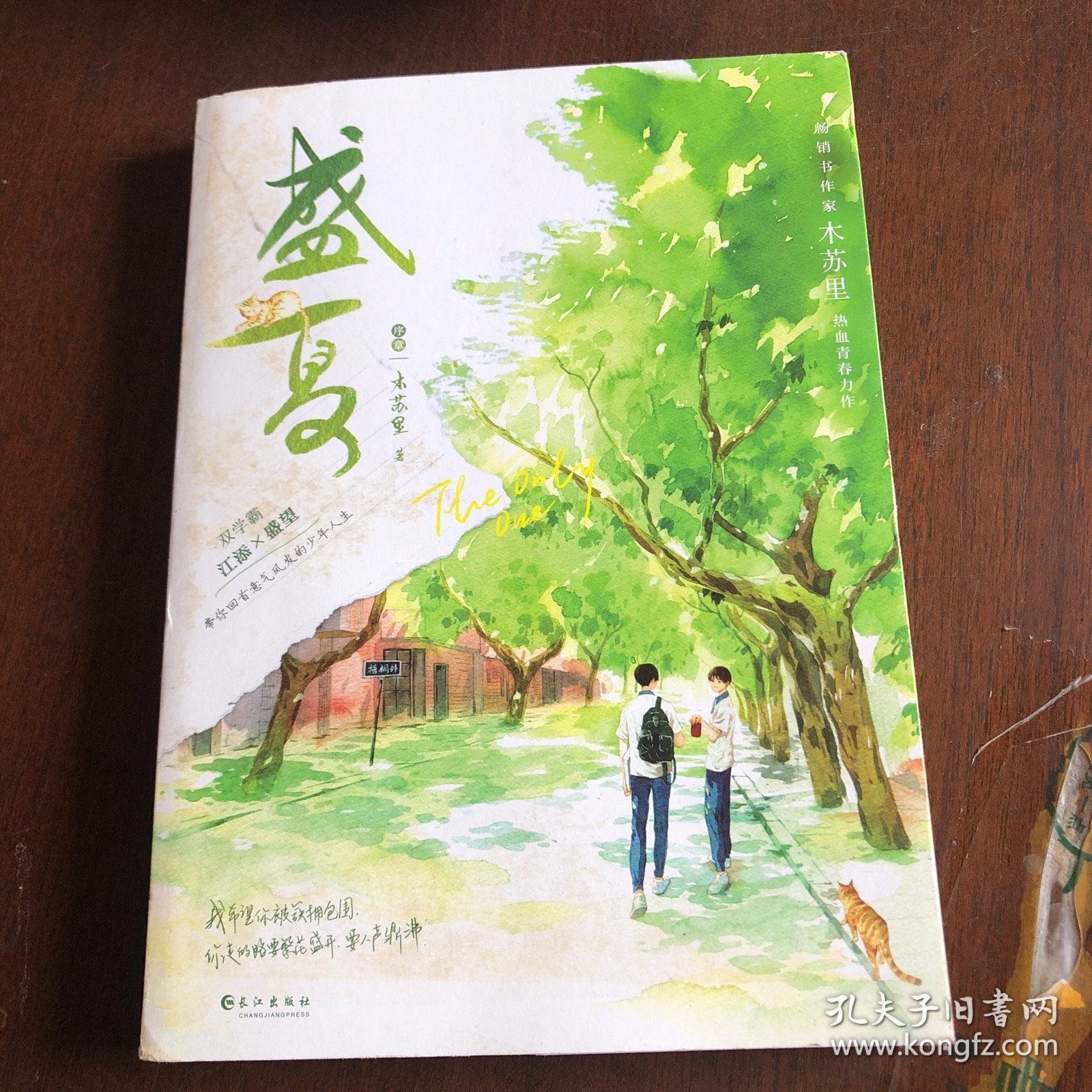 盛夏：序章（畅销书作家木苏里热血青春力作）