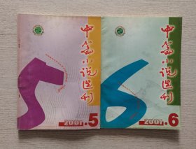 《中篇小说选刊》2001.5.6期 两本