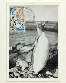 1972年9月1日，法国南极企鹅极限明信片1枚，销巴黎风景戳。