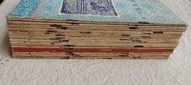 大华半月刊，林熙（高贞白、高伯雨）主编，创刊至41期（中间缺第9，27，32，38，39期），共35本