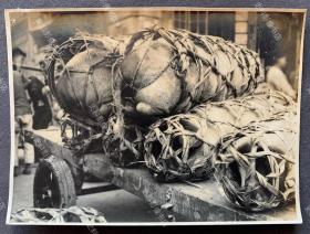 【广州旧影】1940年 广州集市上售卖的用麻绳捆绑的活猪 原版老照片一张（尺寸∶10.5*14cm，照片背面有1940年11月23日“廣州西憲兵分隊”检阅章。）