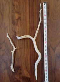 造景材料，几案清供摆件，千年不朽的胡杨树枯枝两根，产地：新疆巴楚，长度分别是56cm和28cm