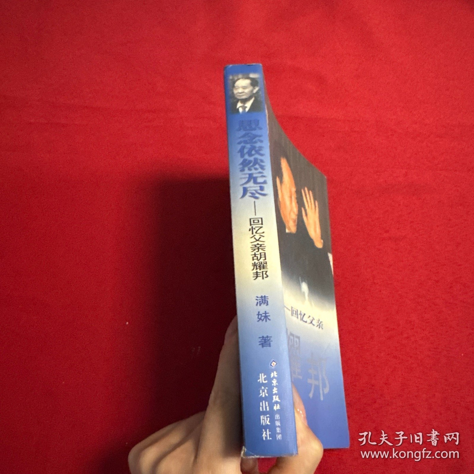 思念依然无尽：回忆父亲胡耀邦