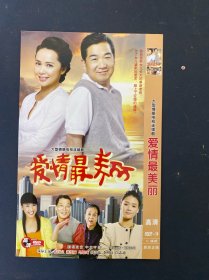光盘DVD：爱情最美丽 简装2碟 以实拍图购买