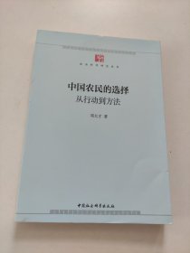 中国农民的选择：从行动到方法