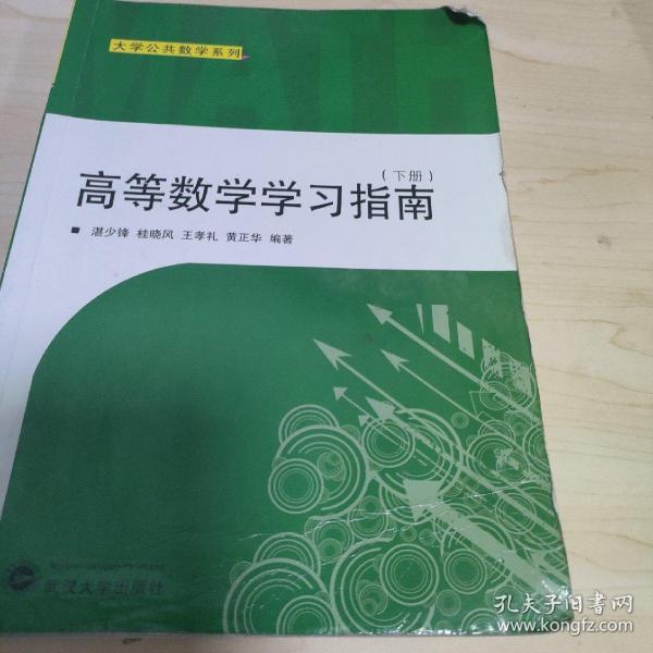 大学公共数学系列：高等数学学习指南（下册）