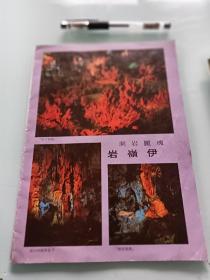 广西土特产出口商品展览特刊书內有各种酒标。罗汉果红米酒。田鼠仔酒。禾蛇胆酒。风湿酒，无骨木瓜酒。花雀补酒等及正骨水。田七补精。田七头，田七片。云香精。罗汉果冲剂。蛤蚧大补丸。蛤蚧精口服液。象山牌罐头。等等。