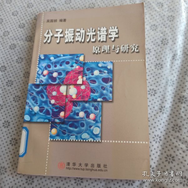 分子振动光谱学 原理与研究