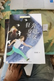 狂奔穿越黑夜（全国优秀儿童文学奖获奖作家书系）