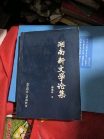 湖南新文学论集（上册）