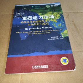 重塑电力市场：低碳电力系统转型过程中的市场设计与监管