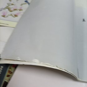 王天一花鸟画集【受潮水印】、学爱工笔花鸟画选【秦学爱】