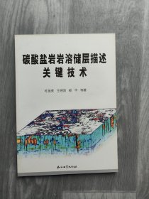 碳酸盐岩岩溶储层描述关键技术