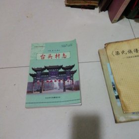 台头村志