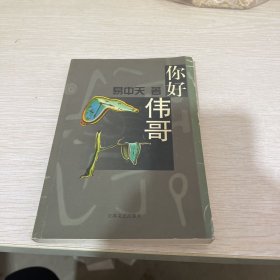 你好，伟哥