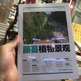 植物造景丛书：藤蔓植物景观