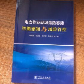 电力作业现场危险态势智能感知与风险管控