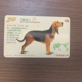广东电信公司 （布鲁诺犬） 电话卡