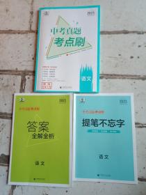 中考真题考点刷十堤笔不忘字十答案全析