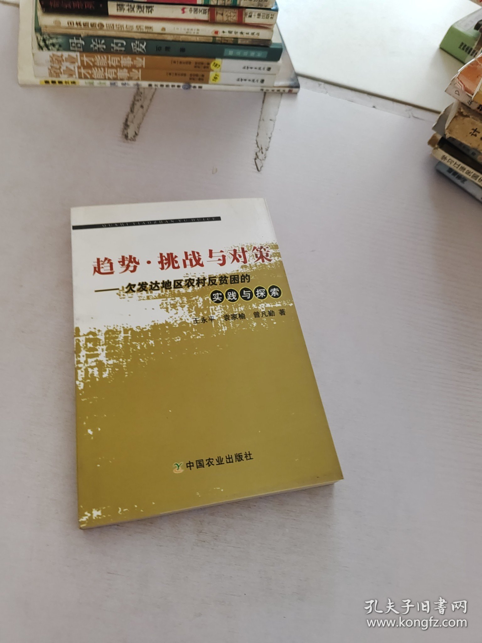 趋势.挑战与对策-欠发达地区农村反贫困的实践与探索