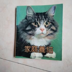 家庭养猫