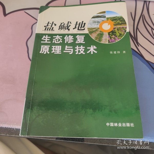 盐碱地生态修复原理与技术