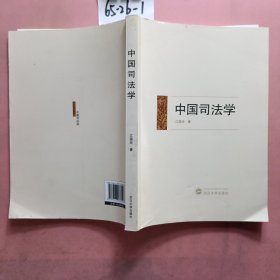 中国司法学