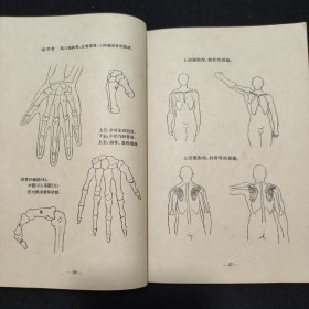 简明医用人体解剖图