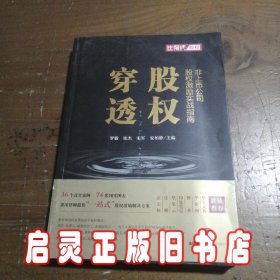 穿透股权：非上市公司股权激励实战指南