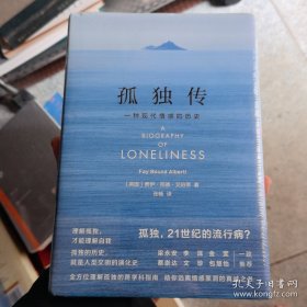 孤独传：一种现代情感的历史