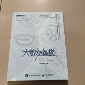 大数据智能：互联网时代的机器学习和自然语言处理技术  正版内页干净 有点水印