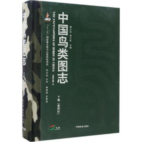 正版 中国鸟类图志 段文科,张正旺 主编 中国林业出版社