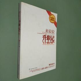 杜拉拉升职记
