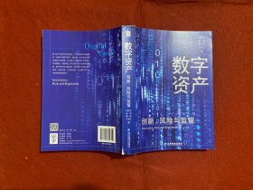 数字资产：创新、风险与监管