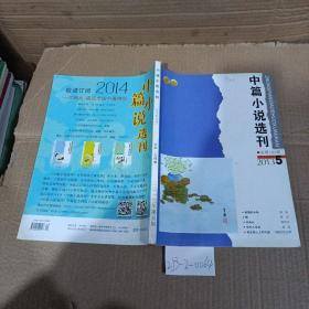 中篇小说选刊2013年第5期