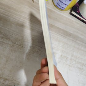 中学生核心素养中考指导手册·美术