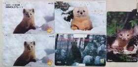 日本电话卡～哺乳动物专题--紫貂(7-11)（过期废卡，收藏用）