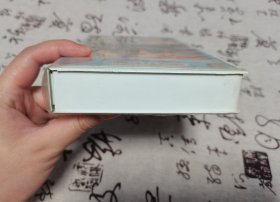 【录像带】红旗军妓