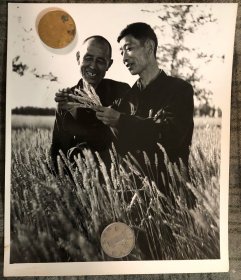 老照片 安徽阜阳地区1980年新闻照片 品相尺寸以图为准 货号：5155