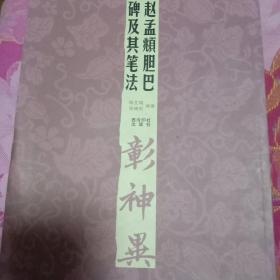 经典碑帖笔法丛书：赵孟頫胆巴碑及其笔法