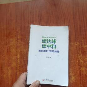 碳达峰碳中和：国家战略行动路线图 袁志刚 循环经济 低碳经济 环境气候