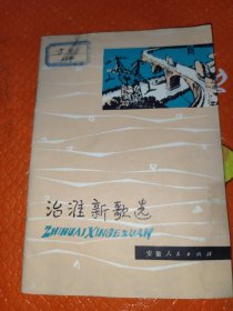 治淮新歌选