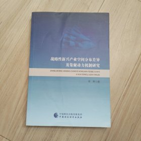 战略性新兴产业空间分布差异及集聚动力机制研究