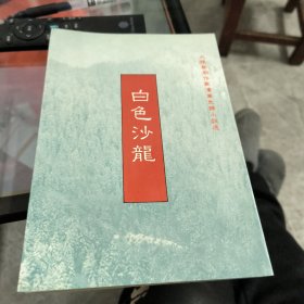 白色沙龙 潘军 先锋小说选 特惠断版书 潘军 锁线胶订