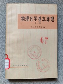 物理化学基本原理（上册）