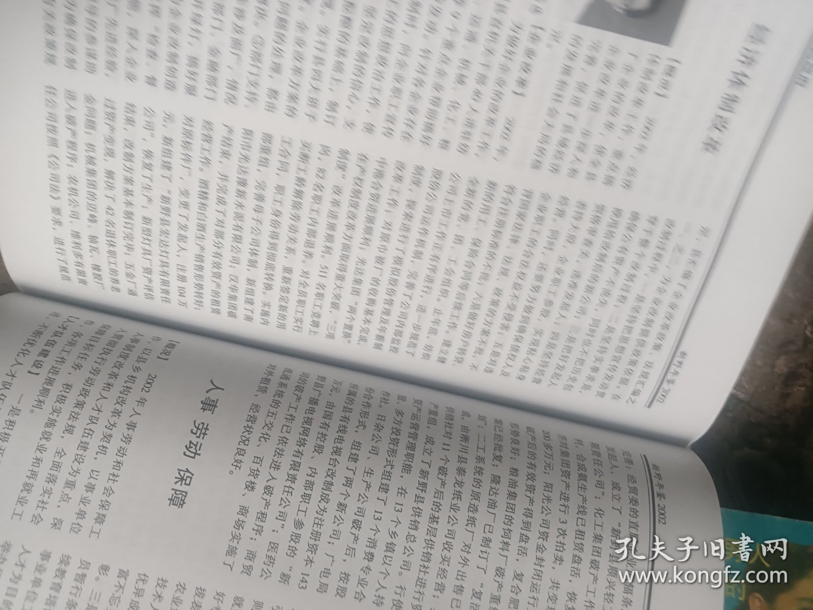 新野年鉴（2002）