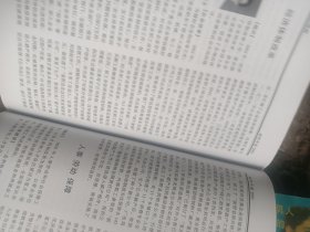 新野年鉴（2002）