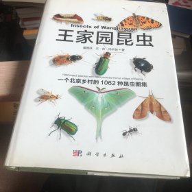 王家园昆虫