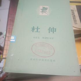 杜仲